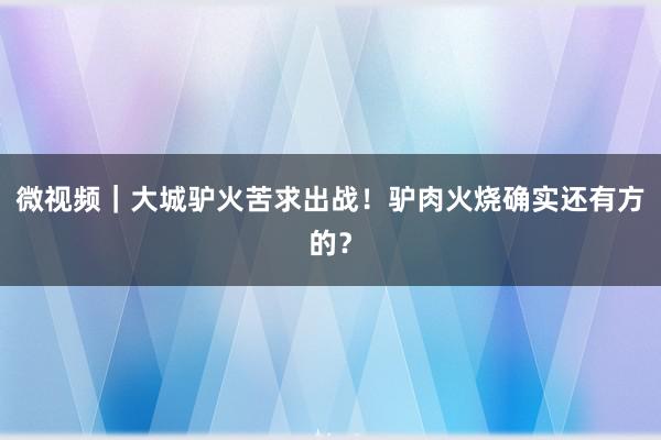 微视频｜大城驴火苦求出战！驴肉火烧确实还有方的？